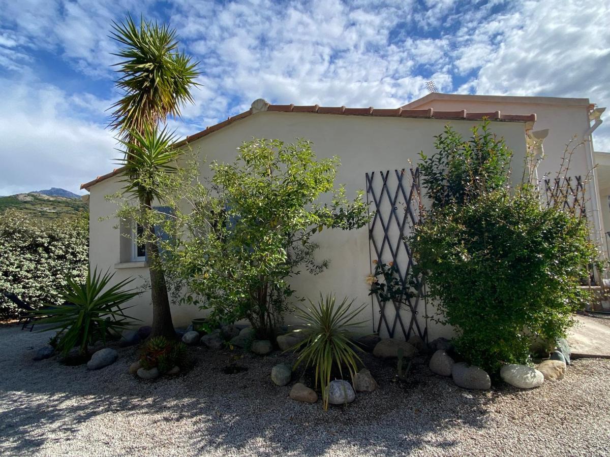 Ferienwohnung Casina Calenzana Exterior foto